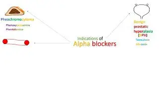 Indications of alpha blockers - in Arabic