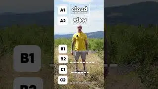 Test your spelling! 