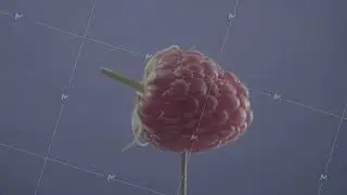 Raspberry rotating with loop on blue screen for chroma key
