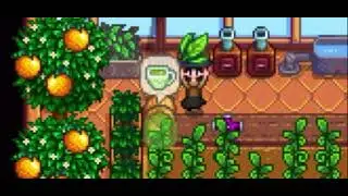 Stardew Valley greenhouse #stardewvalley #stardewvalleymobile