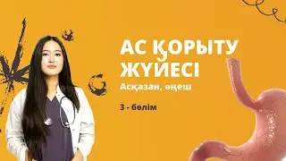 АС ҚОРЫТУ ЖҮЙЕСІ |Өңеш, асқазан. Анатомия 3-ші бөлім