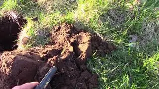 GARRETT AT-GOLD и первый коп.