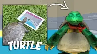 Racing MY TURTLE in Tower of Hell...