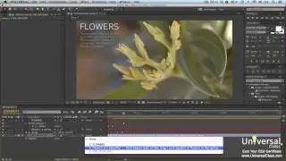 Working with Text in Adobe After Effects Tutorial