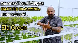 ചുരുങ്ങിയ കാലം കൊണ്ട് Leaf Vegetable കൃഷിയിലൂടെ ശ്രദ്ധ നേടി ELA GREEN | Hydroponics Farming