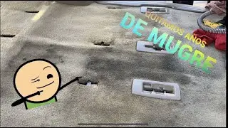 COMO LAVAR ALFOMBRA//COMO LIMPIAR ALFOMBRA//COMO QUITAR MANCHAS DE ALFOMBRA//FACIL Y RAPIDO