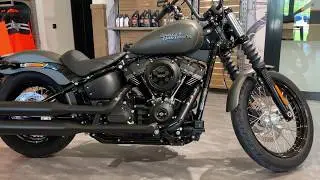 Street Bob 2019 industrial grey Harley-Davidson