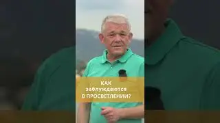 Как заблуждаются в просветлении?
