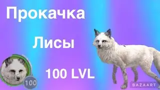 Прокачка лису до 100 LVL