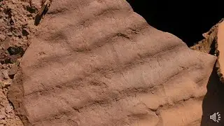 Primary Sedimentary Structures