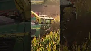 Deere & Sunset 😮😍 #rikyfarmer #agriculture