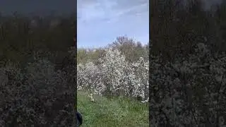 6 июля 2022 г.(3)