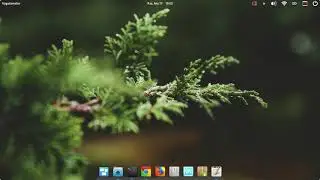install some app in elementary os Loki