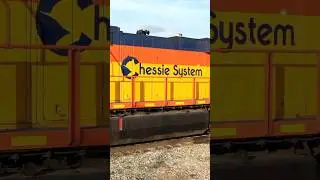 CSX Chessie Heritage Unit 1973 | #Shorts