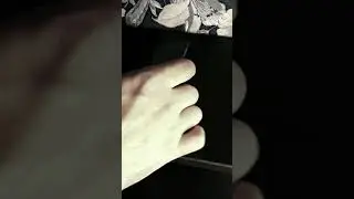 О российском флаге... 