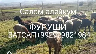 СРОЧНА ФУРУШИ +992929821984