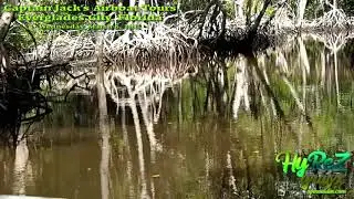 Everglades City Airboat Ride