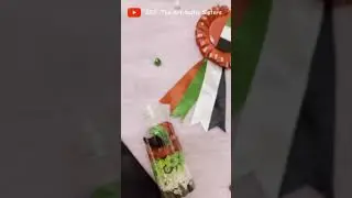 HAPPY UAE FLAG DAY CRAFT!! 