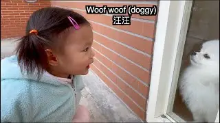 Cute relationship between cute Baby and Cute Dog | 可愛寶寶和她的好朋友可愛狗狗