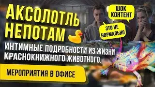 Аксолотль Непотам: Интимные подробности из жизни краснокнижного животного