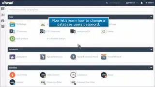 How to Change a MySQL Database User Password in cPanel