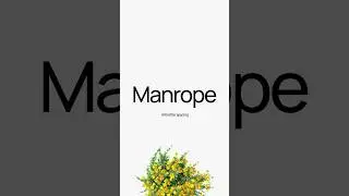 Try these Web Fonts in your next project! 