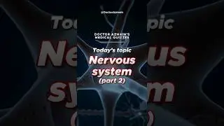 🧠 Nervous System Quiz! 🧐 Can you reach GENIUS level?! 💯 #medicalquiz