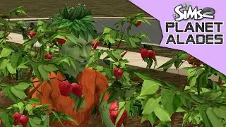 Strawberry Field | Planet Alades #73 | Sims 2