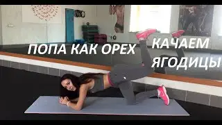 ЯГОДИЦЫ! ПОПА БУДЕТ ГОРЕТЬ!