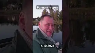 Щука осенью 2024