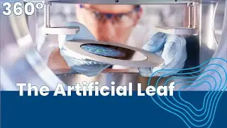 360° Science: The Artificial Leaf - Climate-neutral Method of Producing Hydrogen [Reupload]
