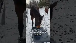 Try to move the ball so you can drink water.