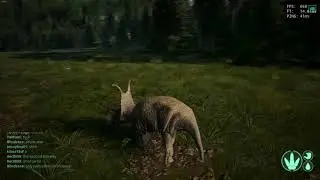 Dibble VS Acro The River Den