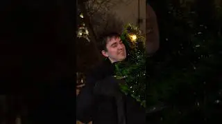 Страшный сон любого парня… не купить елку на НГ