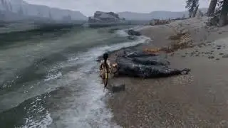 Ravenrock waves