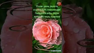 Удачи...💞 Радости... 💞