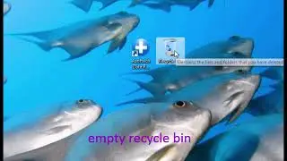 How to recover deleted mp4 files from SD card