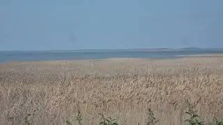 Видео не для всех.ПРИЗЫВАТЕЛЬ ДЕМОНОВ.Или как и зачем звонить в ад.