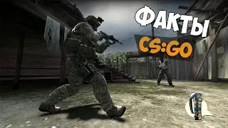 Факты из CS:GO###
