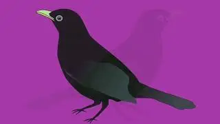 Raven Meta-Sin #Meta-Sin