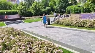Клумбы в саду им. Баумана