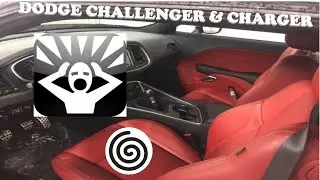 The Most Annoying Sound Ever! creaking noise
