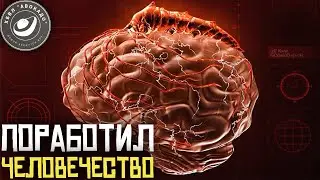 Теперь всё ЧЕЛОВЕЧЕСТВО ВЕРИТ в ОРДЕН | Plague Inc: Evolved