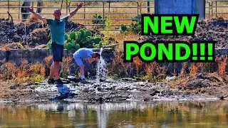 Renovating an Abandoned Resort: Part 9