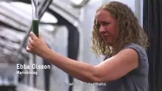 Möt alg-bonden Ebba