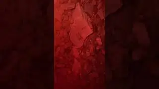 26 июня 2023 г.