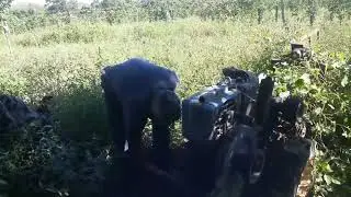 Micro trator empacado 
