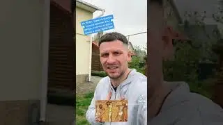 Откуда мы знаем что Иисус действительно на кресте умер, а не впал в обморок?