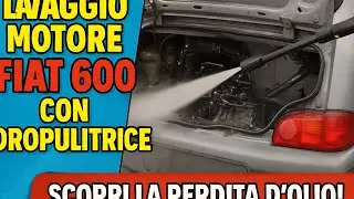 Fiat 600 del 2003: LAVAGGIO MOTORE ESTREMO per trovare la PERDITA! 🔧