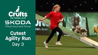 Your CUTEST Agility run from Day 3! | Crufts 2023